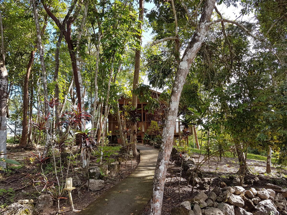Unitedville Hidden Haven 호스텔 외부 사진